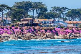 Aerial view of Pacific Grove, California